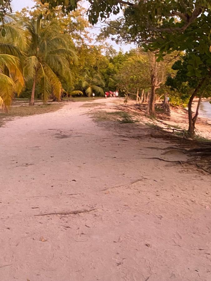 La Maison De La Plage سانت لوسي المظهر الخارجي الصورة